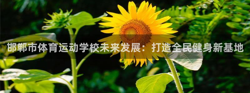 利记官方正版app集团：邯郸市体育运动学校未来发展：打造全民