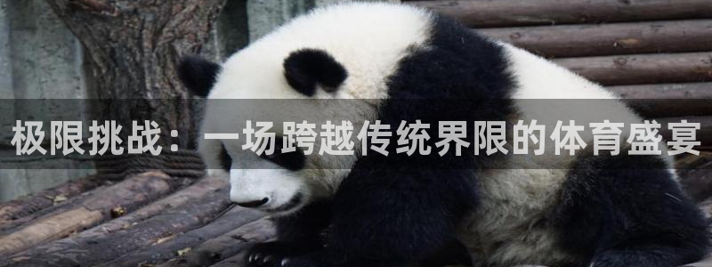 利记官网下载平台是正规平台吗知乎：极限挑战：一场跨越
