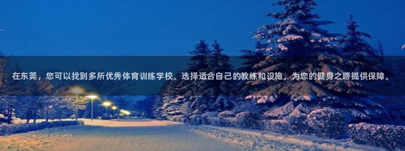 利记官方正版app娱乐代理怎么样：在东莞，您可以找到多所优秀