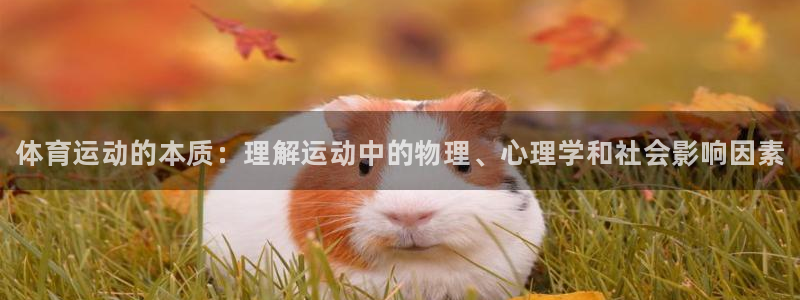 利记官方正版app五金厂：体育运动的本质：理解运动中的物理、