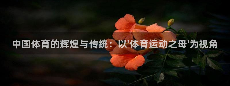 利记官网下载官方客服电话：中国体育的辉煌与传统：以\'体育运