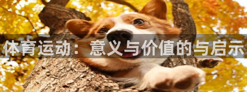 利记官方正版app娱乐平台：体育运动：意义与价值的与