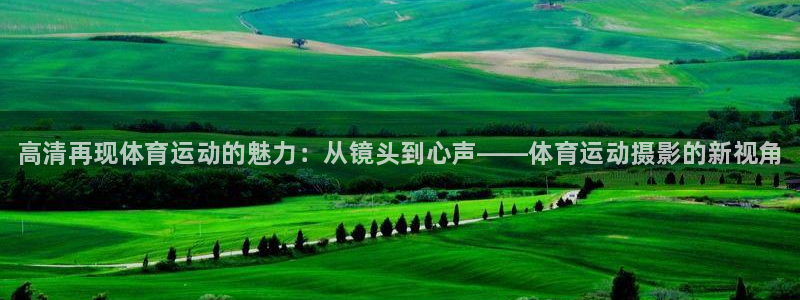 利记官方正版app娱乐代理怎么样：高清再现体育运动的魅力：从