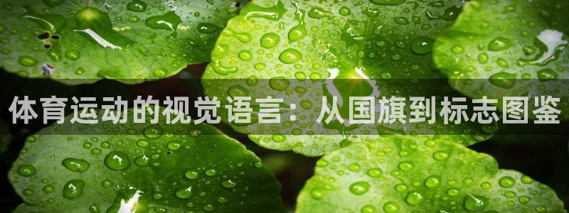 德国利记官方正版app集团：体育运动的视觉语言：从国旗到标志