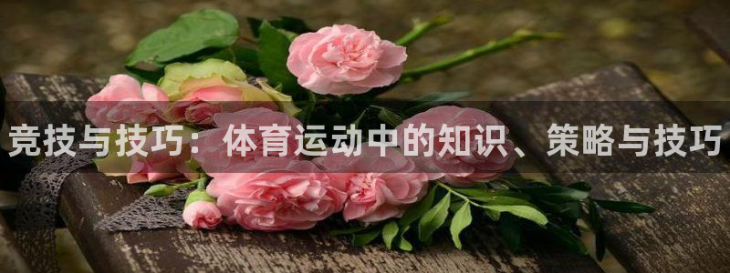 利记官网下载招商电话是多少啊：竞技与技巧：体育运动中的知识、