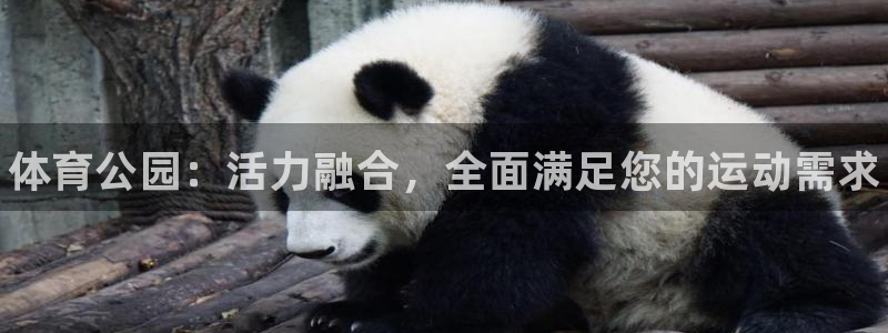 利记官网下载招商电话号码查询是多少