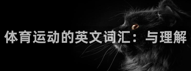 利记官网下载平台是正规平台吗安全吗