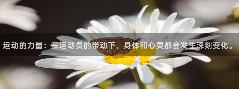 利记官方正版app娱乐首页官网下载