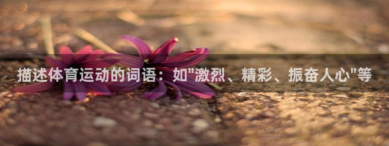 海南利记官网下载发展怎么样：描述体育运动的词语：如\