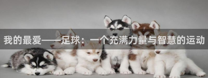 利记官方正版app神州：我的最爱——足球：一个充满力量与智慧