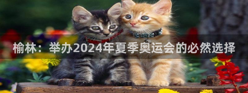 利记官方正版app集团官网网址