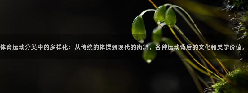 利记官网下载注册：体育运动分类中的多样化：从传统的体