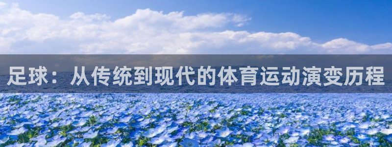 利记官方正版app娱乐：足球：从传统到现代的体育运动