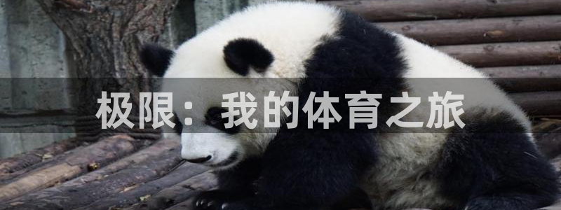 注册利记官方正版app：极限：我的体育之旅