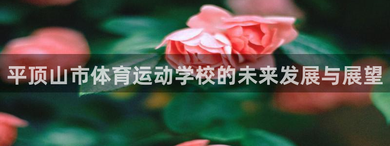 利记官网下载平台注册要钱吗安全吗：平顶山市体育运动学