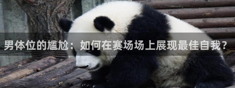 利记官方正版app娱乐40996