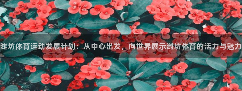 利记官方正版app集团：潍坊体育运动发展计划：从中心出发，向
