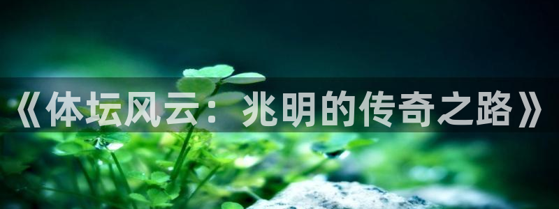 利记官方正版app娱乐是那个系列的台子：《体坛风云：兆明的传