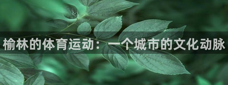 利记官方正版app娱乐首页网站大全：榆林的体育运动：一个城市