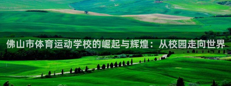 利记官网下载招商电话号码是多少：佛山市体育运动学校的崛起与辉