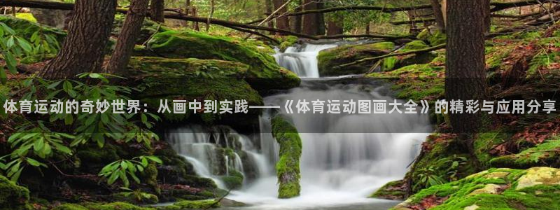 利记官方正版app集团logo：体育运动的奇妙世界：