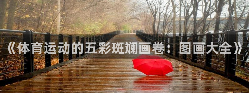 利记官方正版app娱乐40996：《体育运动的五彩斑斓画卷：