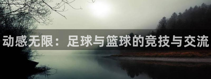 利记官网下载平台注册要钱吗：动感无限：足球与篮球的竞技与交流