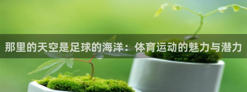 利记官网下载招商电话号码是多少啊：那里的天空是足球的海洋：体