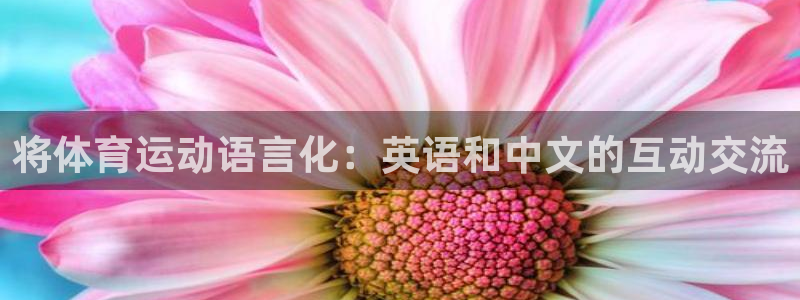 利记官方正版app集团：将体育运动语言化：英语和中文