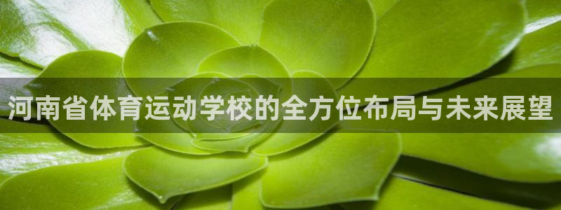 利记官方正版app娱乐平台：河南省体育运动学校的全方位布局与