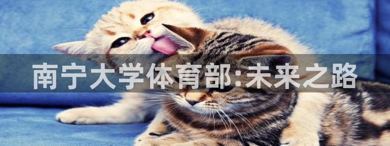 利记官网下载平台假的吗是真的吗：南宁大学体育部:未来之路