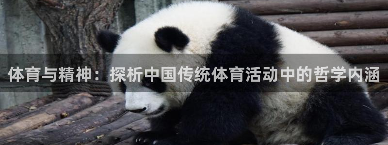 利记官方正版app科技：体育与精神：探析中国传统体育活动中的