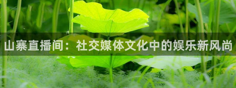 松鼠直播：山寨直播间：社交媒体文化中的娱乐新风尚