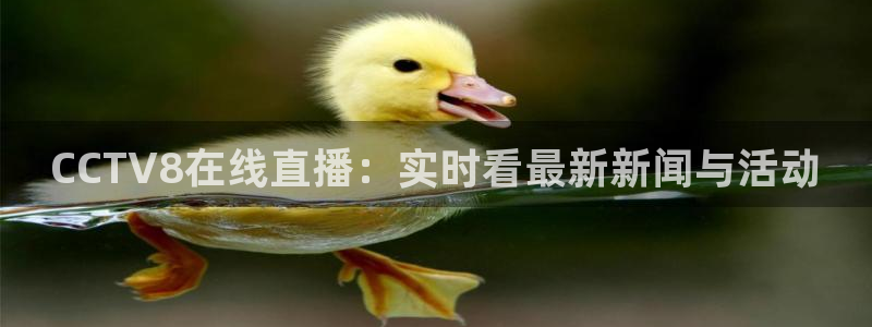 松鼠看球直播：CCTV8在线直播：实时看最新新闻与活动