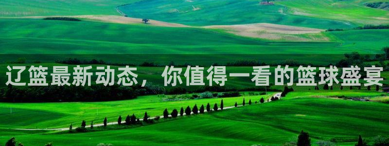 松鼠体育在线直播下载：辽篮最新动态，你值得一看的篮球盛宴