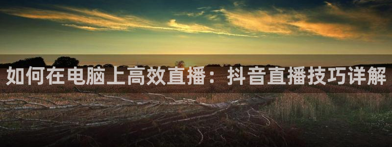 松鼠看球直播：如何在电脑上高效直播：抖音直播技巧详解