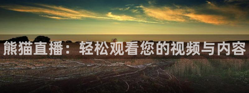 松鼠看球直播：熊猫直播：轻松观看您的视频与内容