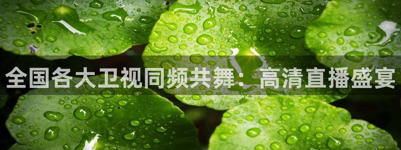 松鼠体育在线直播下载：全国各大卫视同频共舞：高清直播盛宴