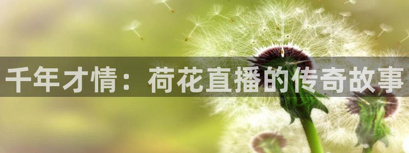 松鼠体育在线直播视频：千年才情：荷花直播的传奇故事