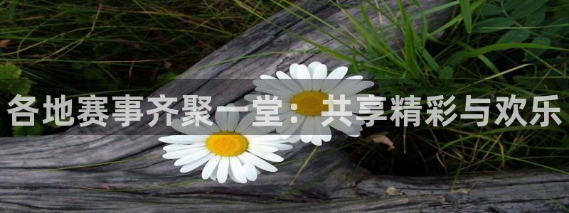 松鼠休闲游戏官网：各地赛事齐聚一堂：共享精彩与欢乐