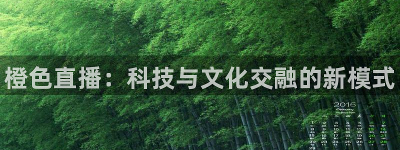 松鼠直播nba：橙色直播：科技与文化交融的新模式