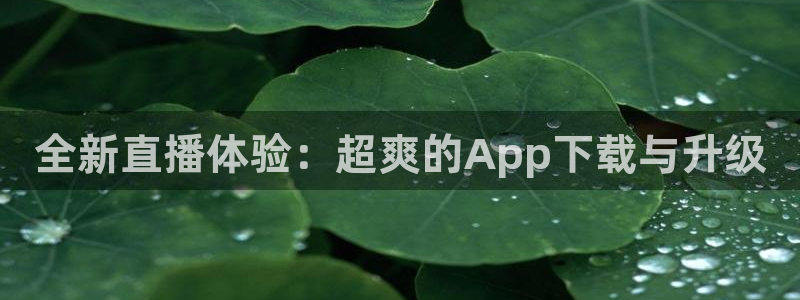 下载松鼠电视直播：全新直播体验：超爽的App下载与升级