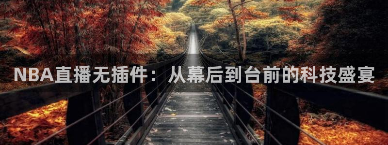 松鼠客户端：NBA直播无插件：从幕后到台前的科技盛宴